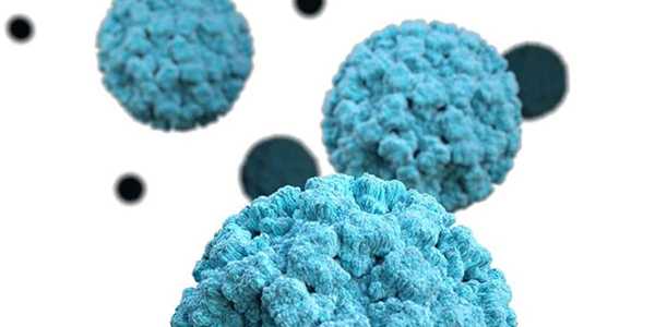 What Are The Symptoms Of Norovirus?
