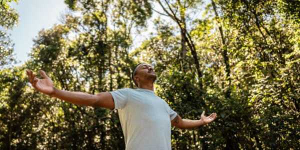 The Benefits of Forest Bathing for Urban Dwellers